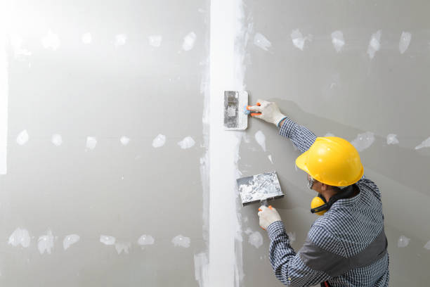 Best Mold Odor Removal Services  in Houston, PA