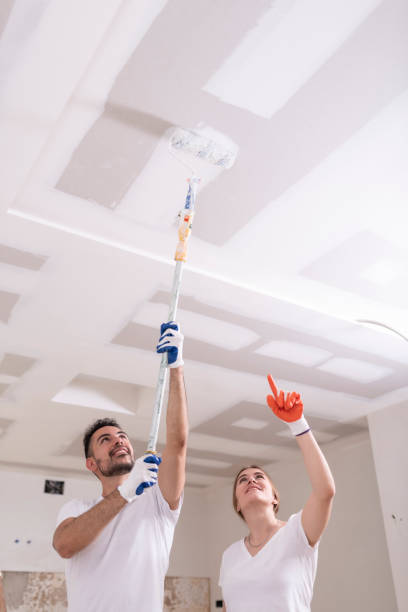 Professional Mold Removal in Houston, PA