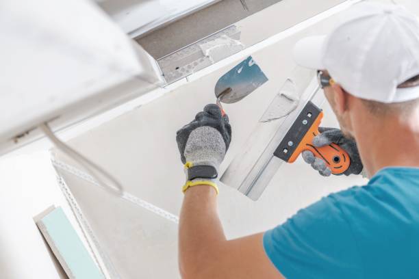 Best Mold Damage Restoration  in Houston, PA